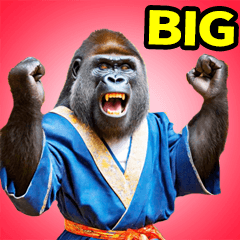 Big Gorilla's New Year