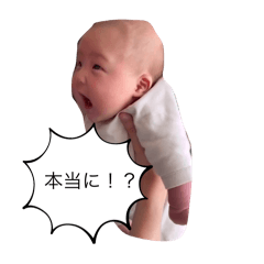 Kurumipan_20241229154616