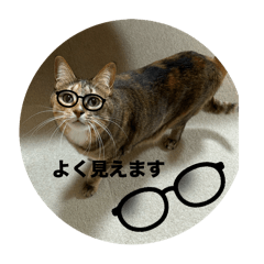 Miichan20200920Part4
