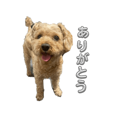 kana_20241229142222