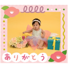 vivi_20241229171917