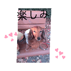 NON_20241230111921