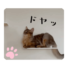 Rin_20241230122947
