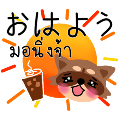 Raccoon Thai-Japanese communications