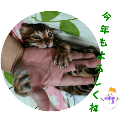 akiko_20241229142147