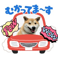 akiko_20241229151825