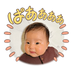 miki_20241229153134
