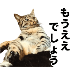 Urimiya_20241229160521
