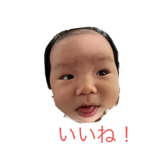 junko_20241229160308