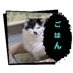 kI_20241229161238