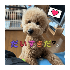 NAO_20241229170213