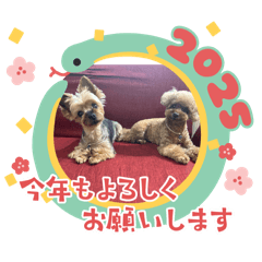 maki_20241229170617