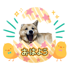hanako_20241229211413