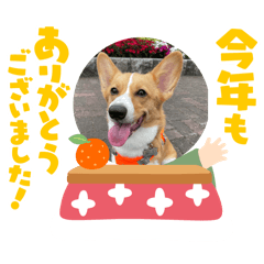achu_20241229185601