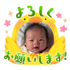 mi_20241229220920