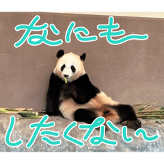 mi_20241229222041