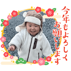 Yoshi_20241230095734