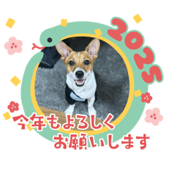 Ponta_20241229204943