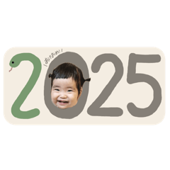 nn_20241229233247