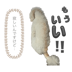 minako_20241229234320