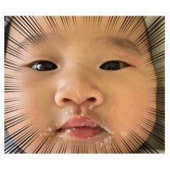 Pimtida_20241229151209