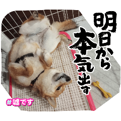 yuki_20241230041857