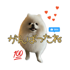 miki_20241229214751