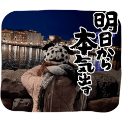 melon_20241230085147