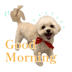 Chihiro_20241230011159