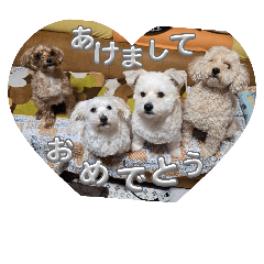 asikubiguneo_20241230091206