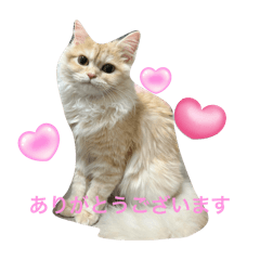 yurina_20241230025400