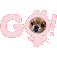 maki_20241230142415