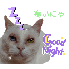 mari_20241230101705
