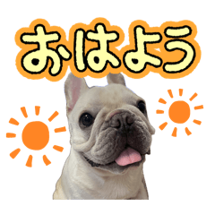 Don_20241230135732