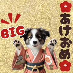 BIGスタンプ　お正月用ボーダーコリー子犬