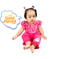 Tulip_20241230173845
