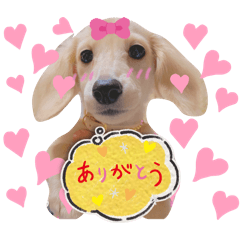 mai_20241230150516