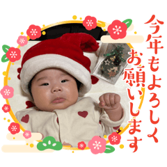 momo_20241230170235