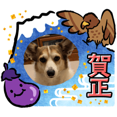 junko_20241230165443