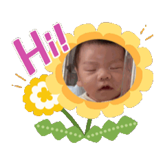 黃辰辰哭哭