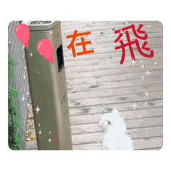 小冰糖～開心日常