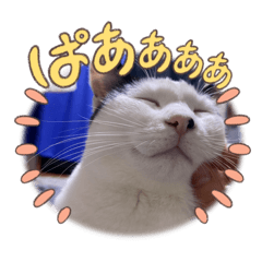 rantyan stamp