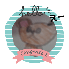 youtan_20241230150241