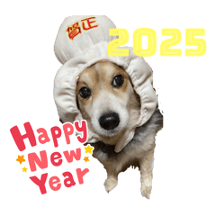 chacha_20241230175056