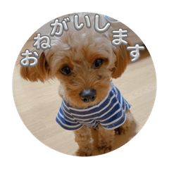 kana_20241230183509
