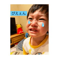 Yayoi_20241230213524
