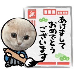 KINAKO_20241230213322