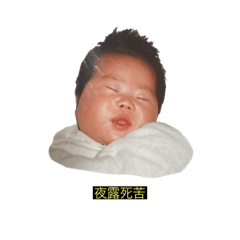 rena_20241230173659