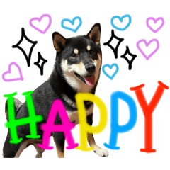 Choco_20241230173338