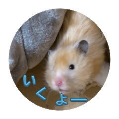 SAKISUKE_20241230205816